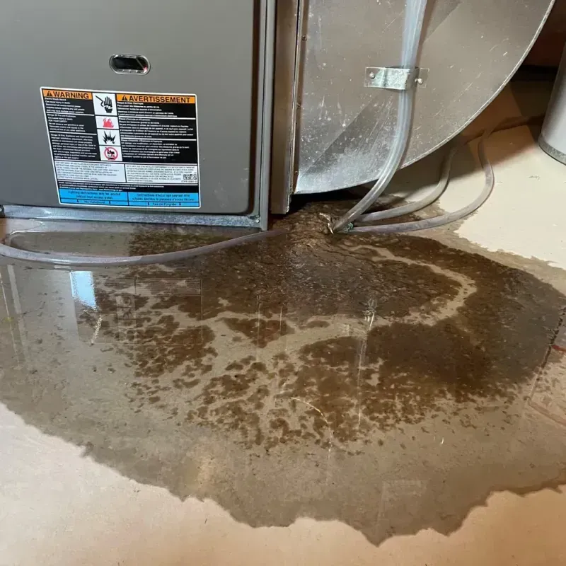 Appliance Leak Cleanup in Argo, AL